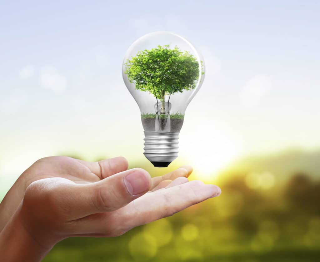 Light bulb with a tree growing inside of it, hovering above hands