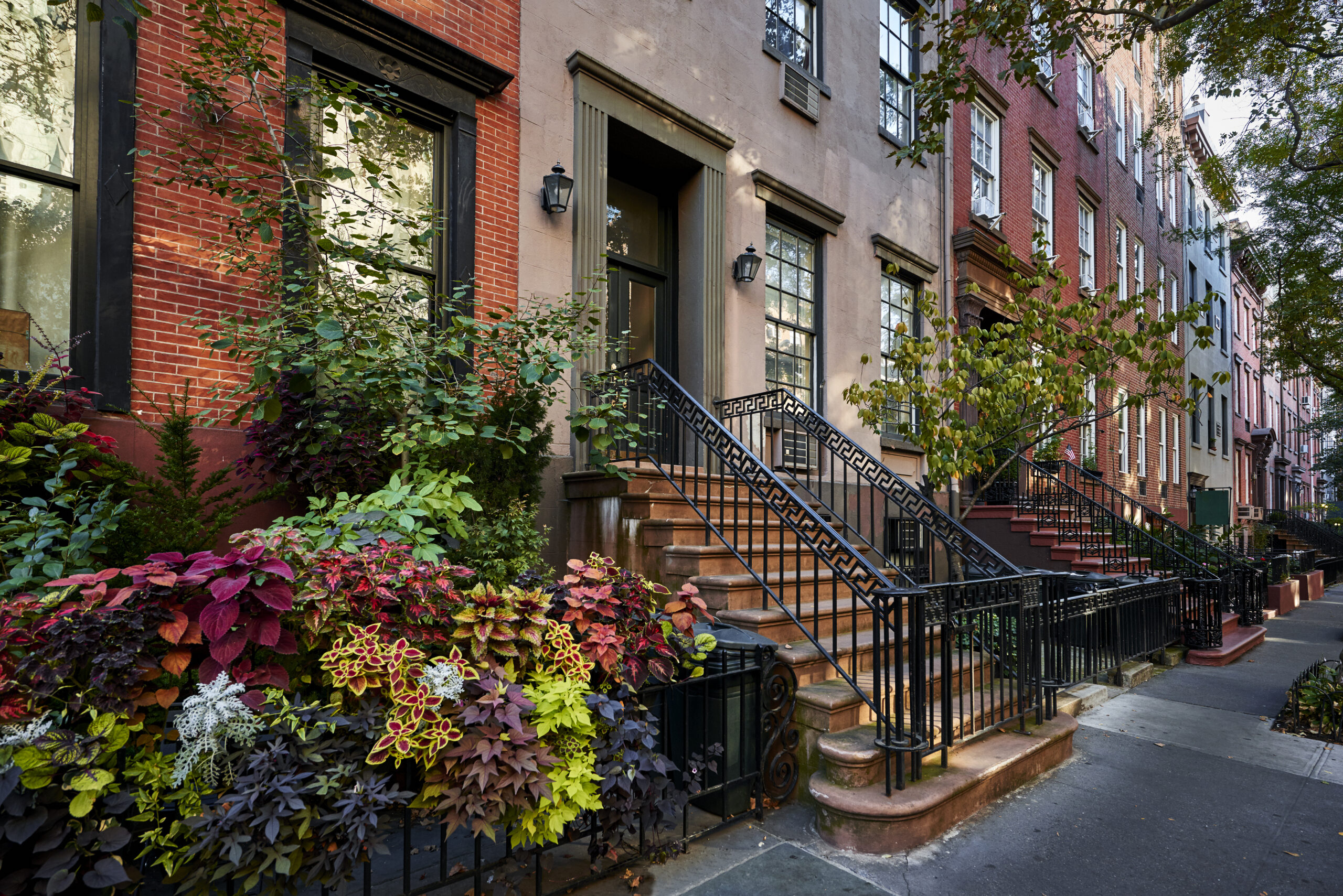 new york brownstones during the summer